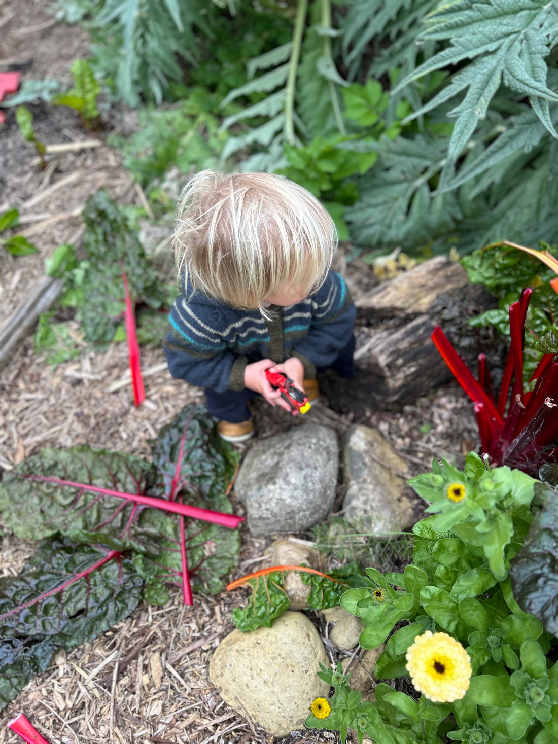 Constitutional Medicine