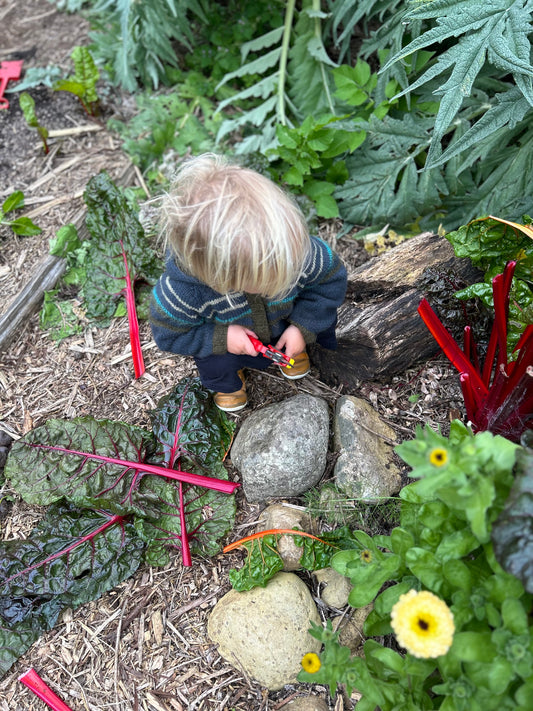 Kitchen Medicine - Saturday 18 April 9am - 12pm