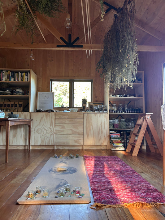 Plant Meditation - Kawakawa - Sunday 22 March 9.30am - 10.30am